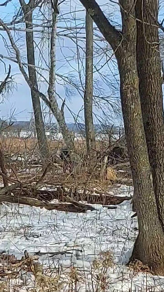 釧路湿原メガソーラー建設：住民「駆け込み工事」と批判