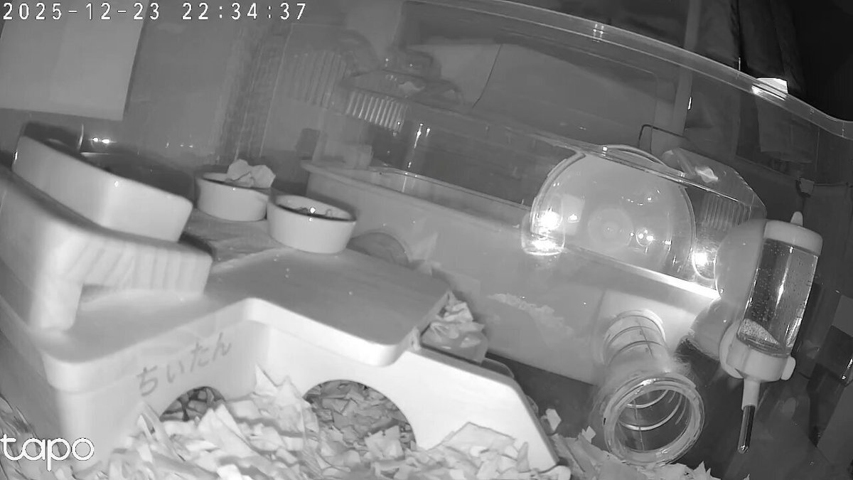 やよい軒のタブレット注文システム、食い逃げ誘発？