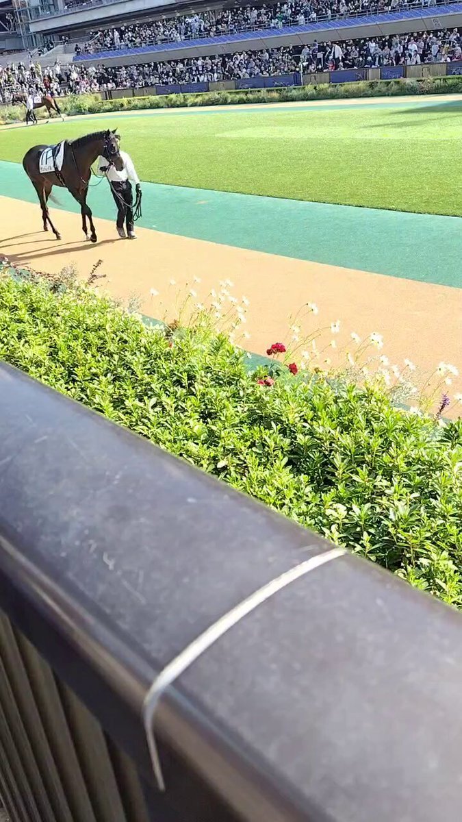 ラントレイル、芝スタートは苦手？