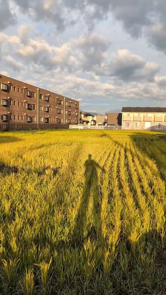 戦隊シリーズ、50年の歴史に幕を閉じた理由とは？