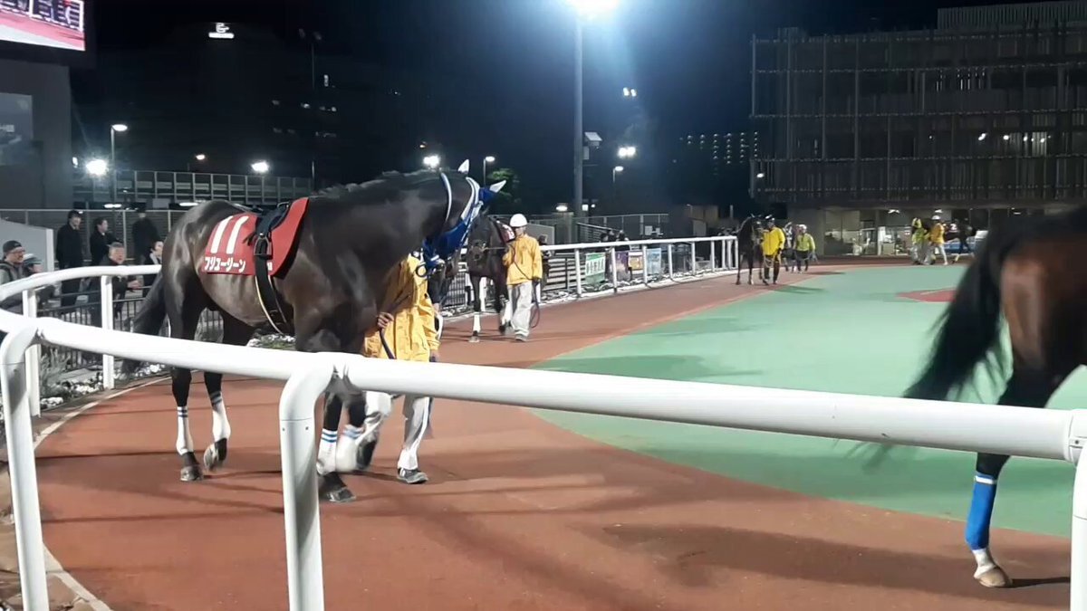 フジユージーン、大井競馬で好走！