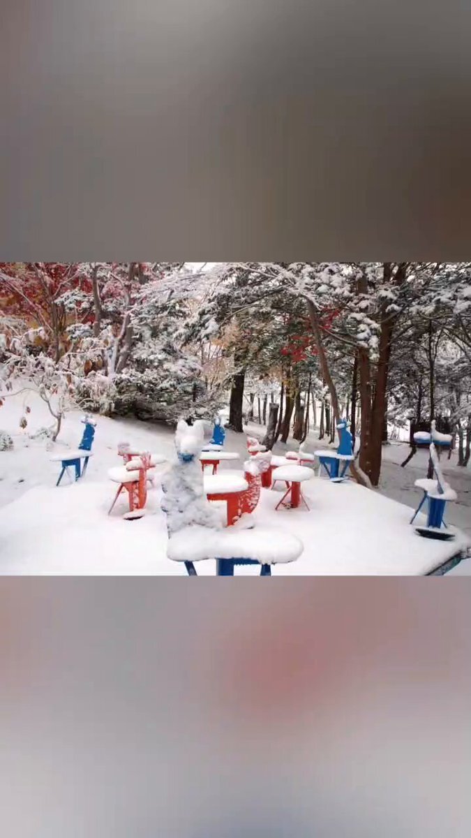 円山動物園、熊の足跡で臨時閉園