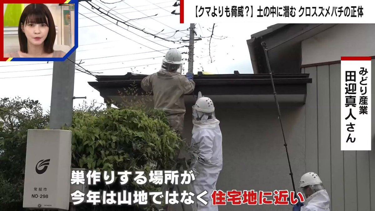 なかか 駆除業者」のYahoo!リアルタイム検索 - X（旧Twitter）を