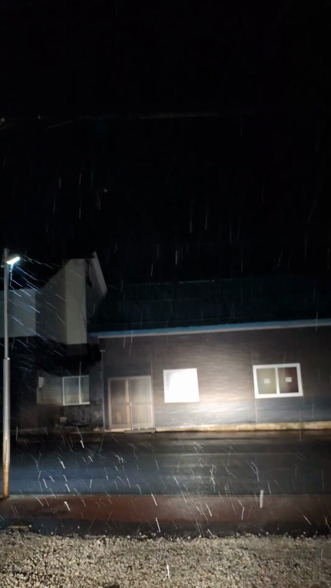 雪が降ってきた