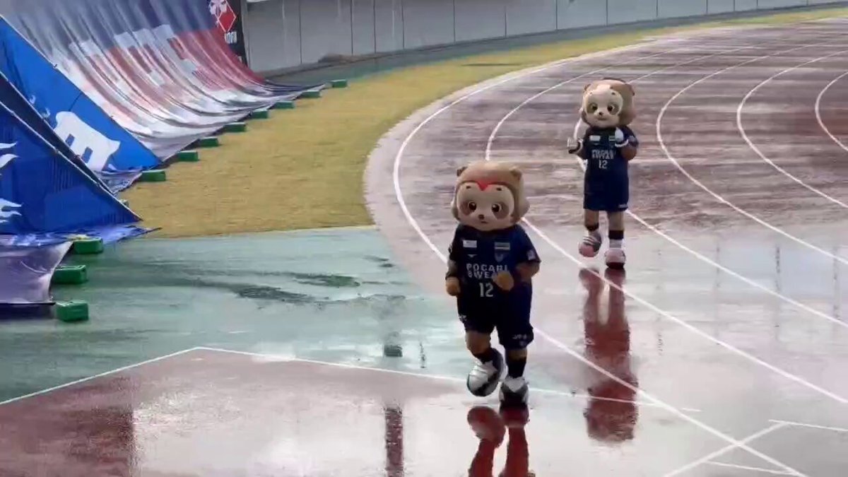 ヴォルタ、ファンを魅了する魅力とは？