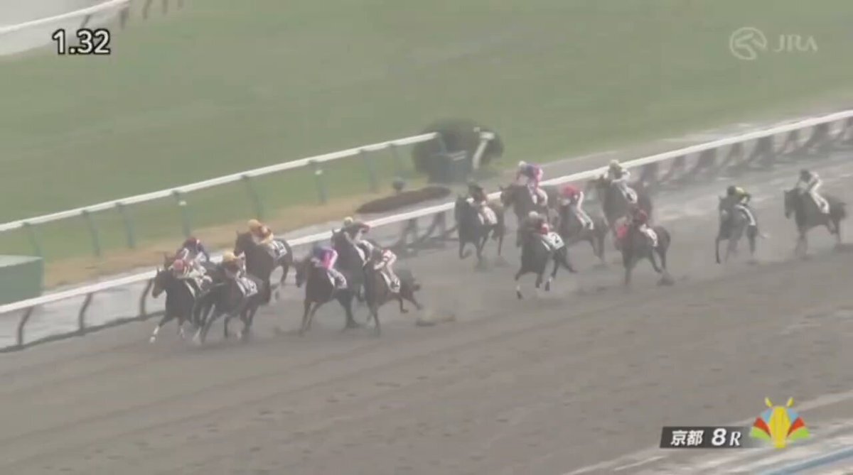 ツキノアカリ、予想外の勝利で競馬ファンを沸かせた！