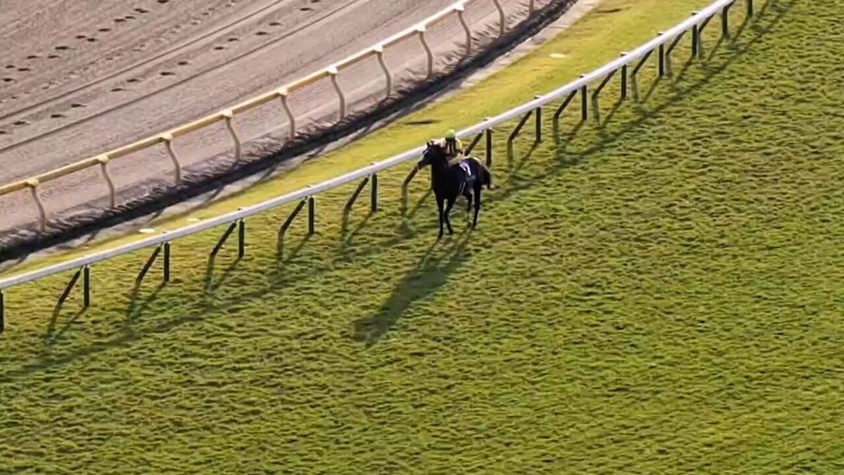 マスカレードボールが天皇賞秋制覇！ドゥラメンテ産駒の活躍に注目