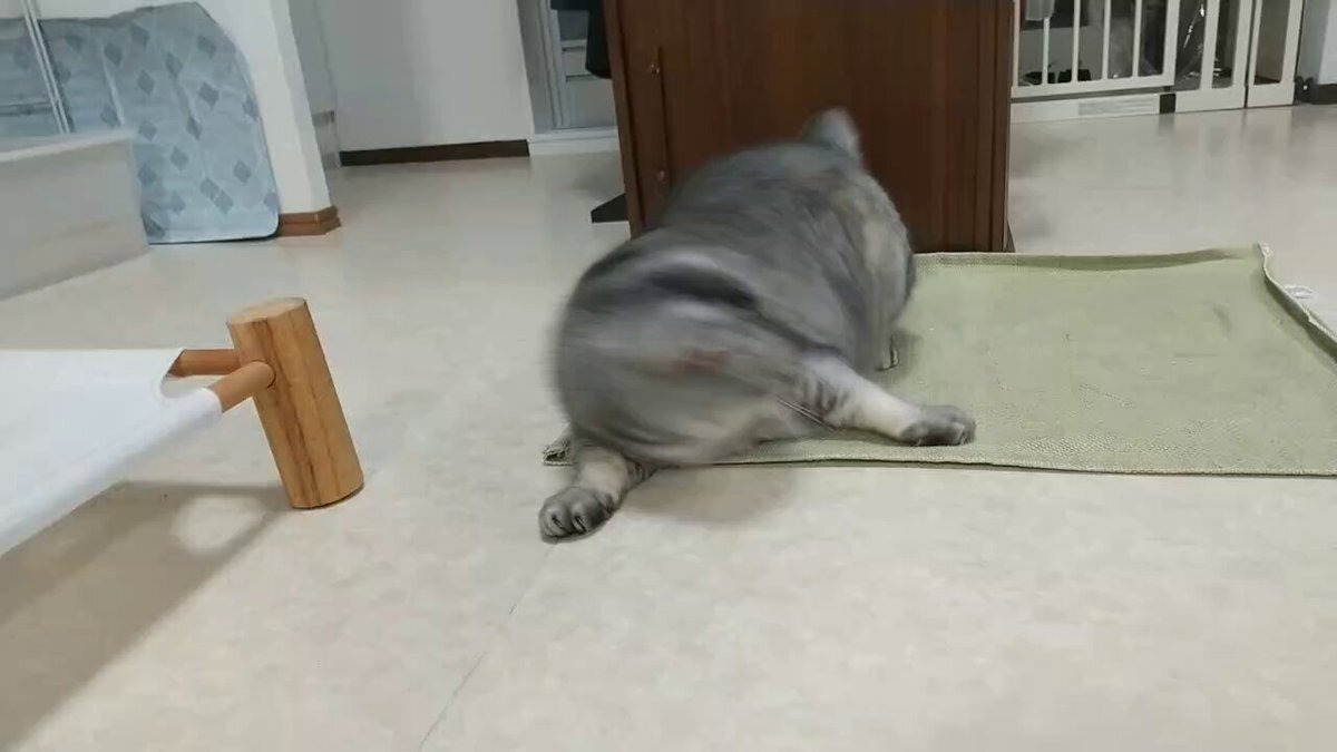 日向坂すみれ、仮面ライダー熱が止まらない！