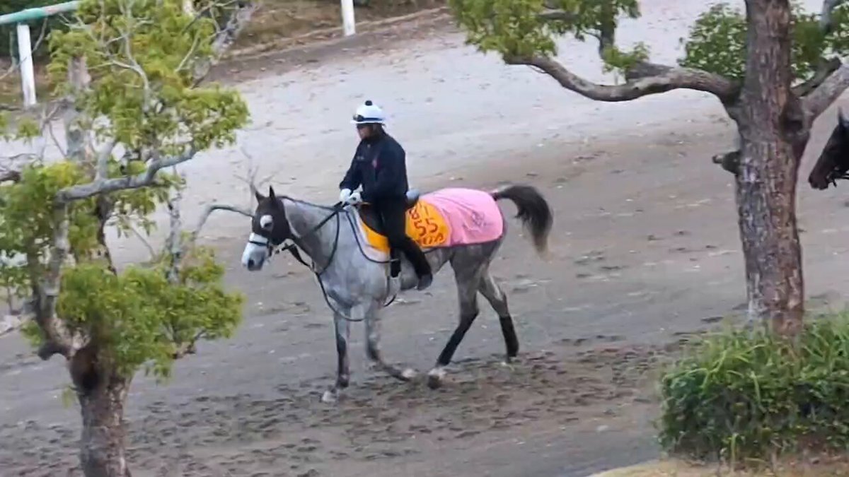 ゴールドシップ」のYahoo!リアルタイム検索 - X（旧Twitter）を