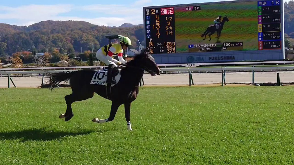 エオリアンリッジ、福島競馬でまさかの11着！