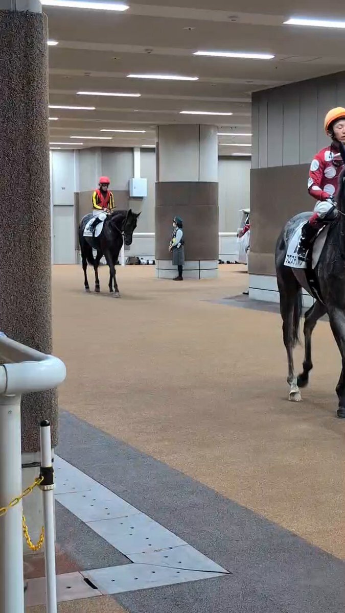 チャリングクロス、デビュー2戦目で初勝利