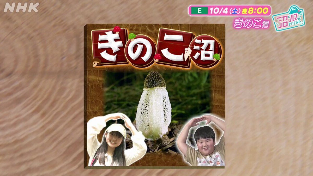 確認✧*。٩(ˊωˋ*)و✧*。 Error-662 | Roblox Creepypasta Wiki | Fandom