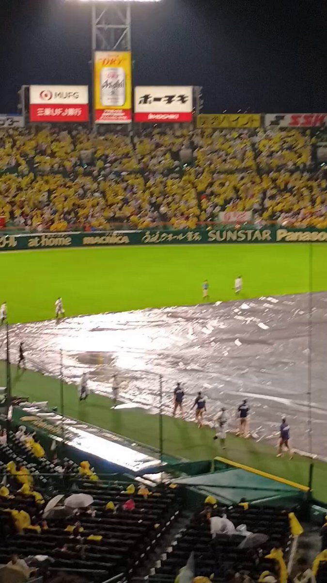阪神園芸、雨天の中も球場を救う！