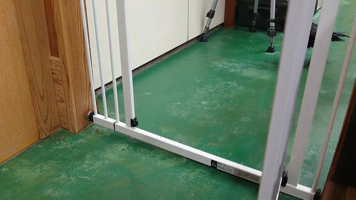 あーちゃん お知らせ 🌻あーちゃん🌻 (@takt040325) / Posts / X