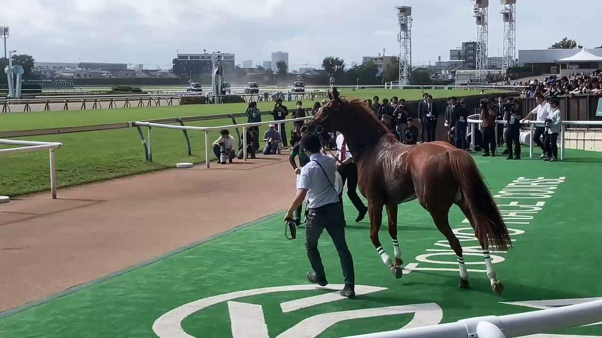 エピッククイーン、新馬戦を圧勝！今後の活躍は？