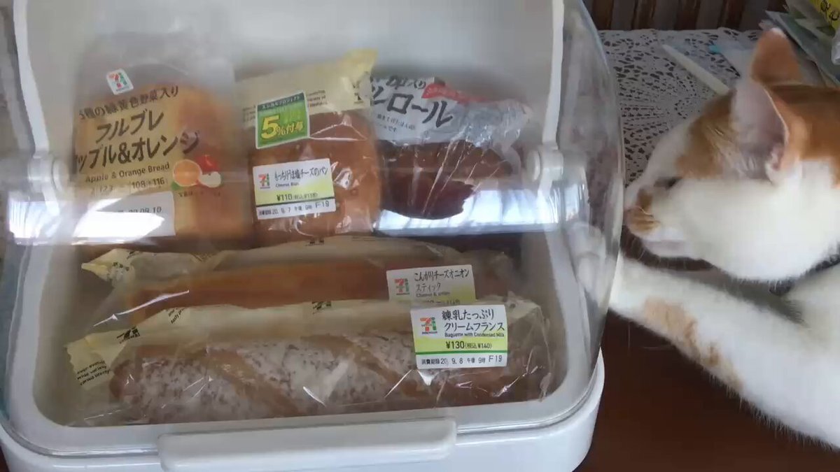 X（旧Twitter）で話題のおもしろ画像や動画 - Yahoo