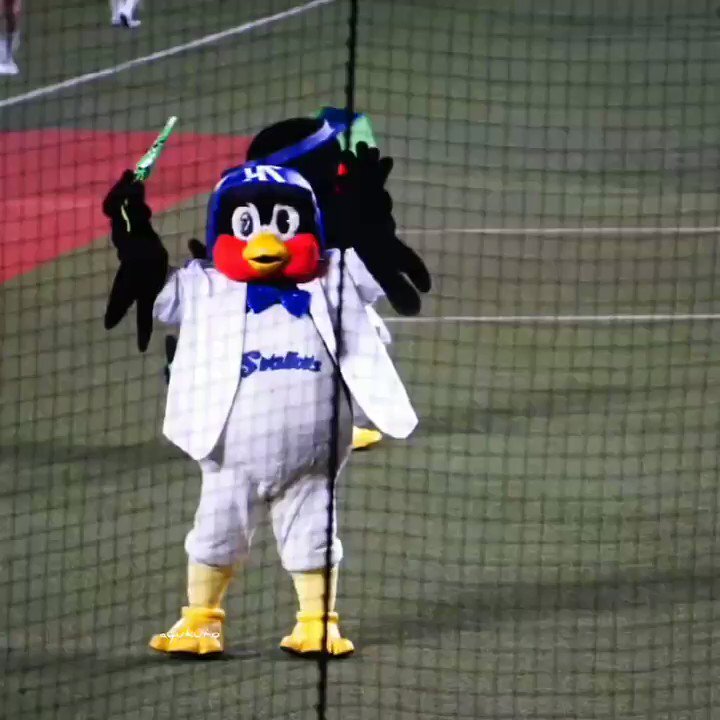 かわいいつば九郎さんで癒されよう のtwitter検索結果 Yahoo リアルタイム検索