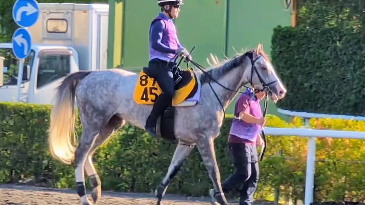 サンタの競馬　ゴールドシップ　デュラメンテ サンタの競馬 ゴールドシップ デュラメンテ サンタの競馬