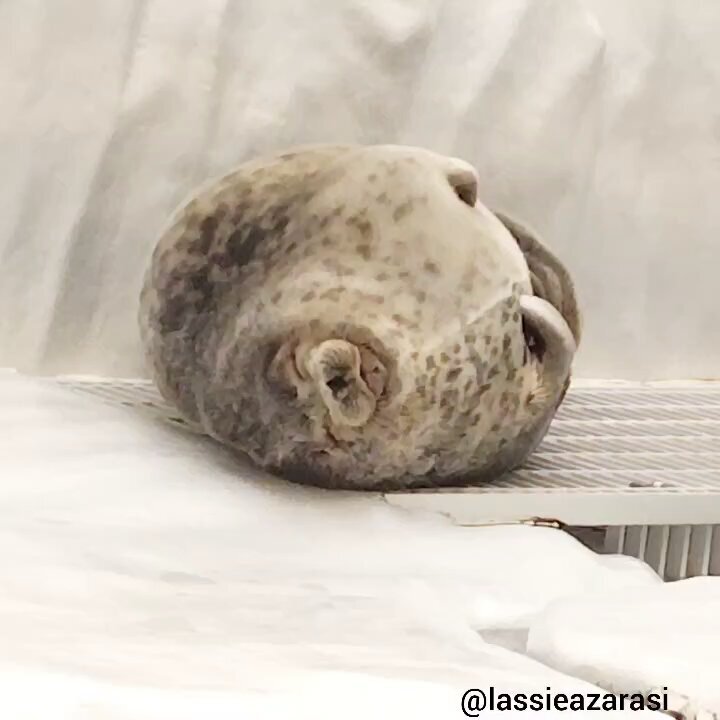 Yukiさま確認ページ♡ yuki - Search / X