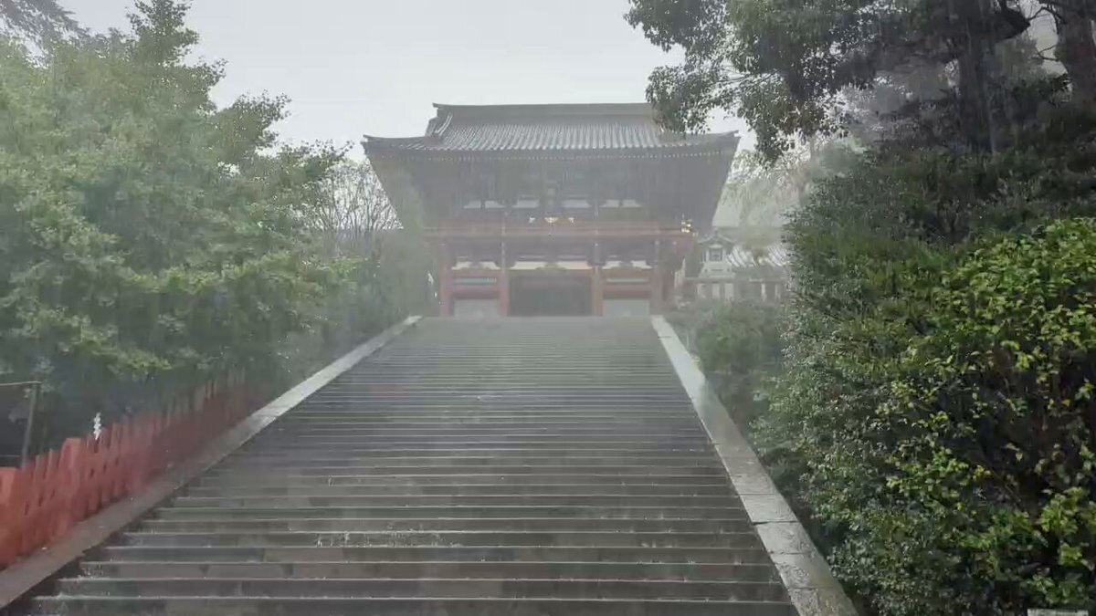 新品　DVD　自然の中の神々5　箱根神社　鶴岡八幡宮◆◆送料無料●● 新品 DVD 自然の中の神々5 箱根神社 鶴岡八幡宮◇◇送料無料