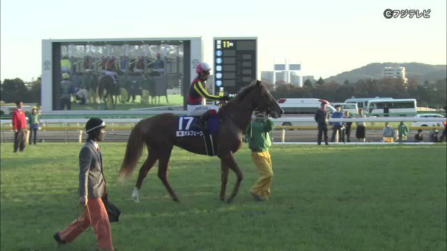 ジェンティルドンナ、16歳で逝去　オルフェーヴルとのジャパンカップ激闘を記憶に