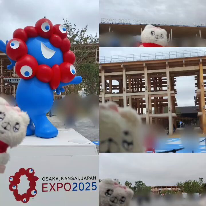 くまさま確認ページ♡ シーサー くま