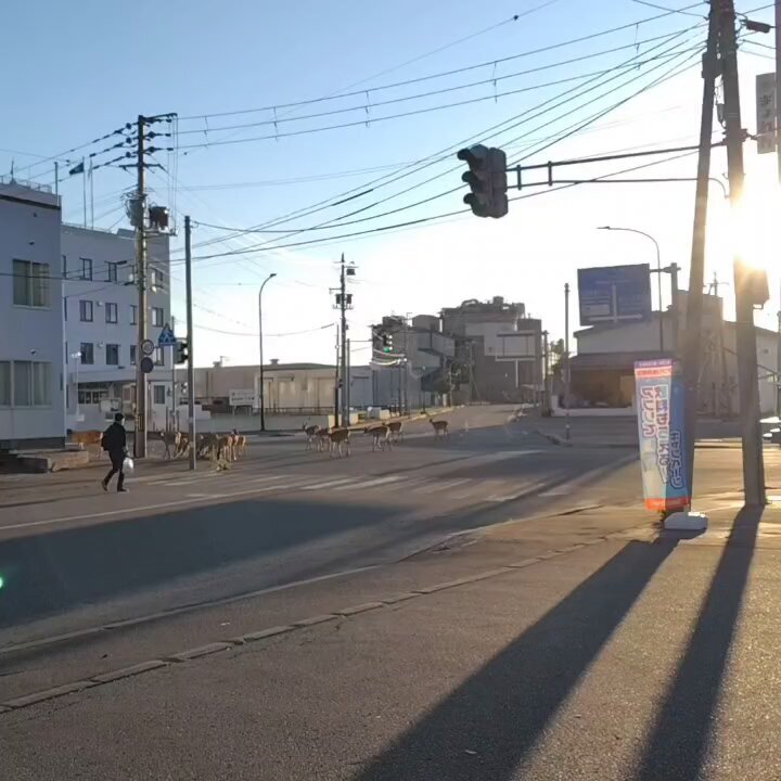 X（旧Twitter）で話題のおもしろ画像や動画 - Yahoo