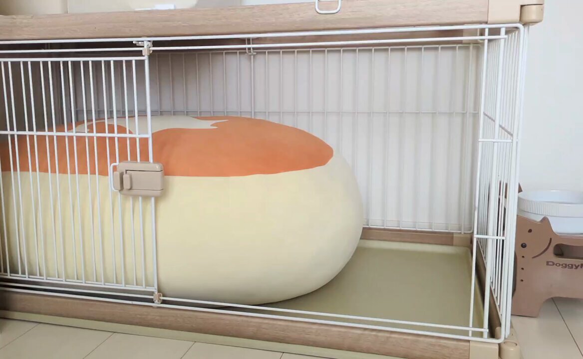 ケーキ」のYahoo!リアルタイム検索 - X（旧Twitter）を