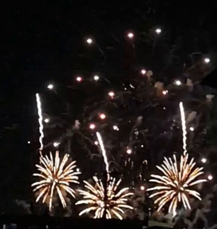 れ X（旧Twitter）で話題のおもしろ画像や動画 - Yahoo