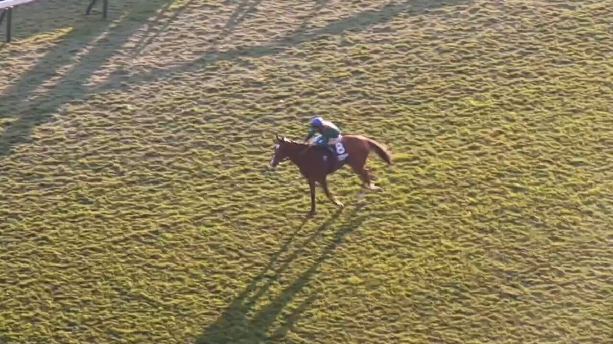 カランダガン、ジャパンカップで日本レコードタイム！20年ぶりの外国馬勝利