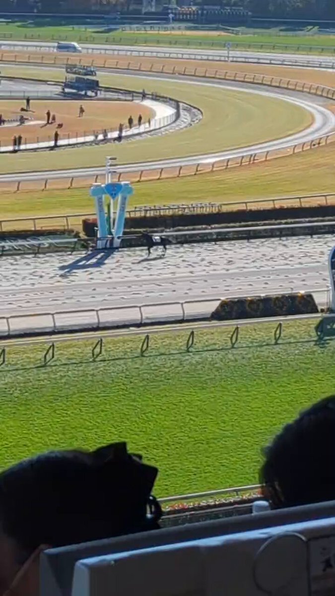 スニーカースキル、スタート直後に戸崎騎手落馬！馬は無事完走