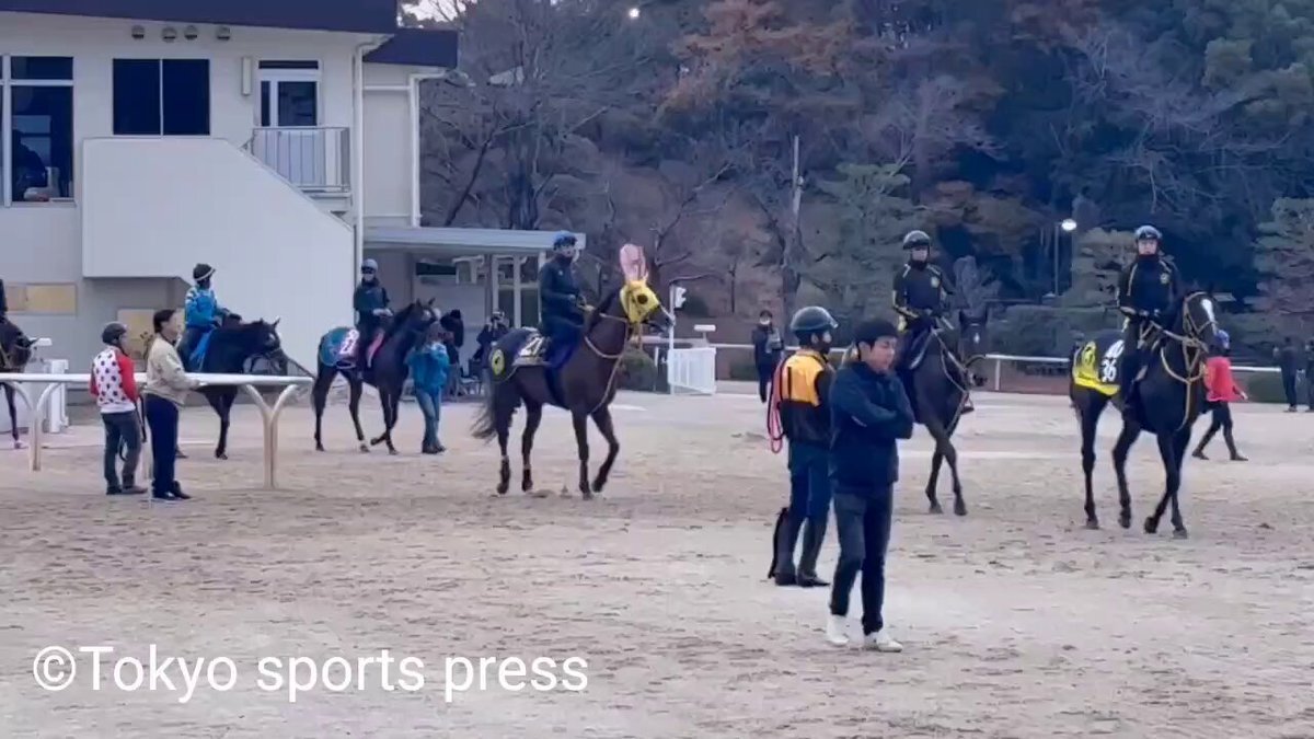 メイショウハリオ、チャンピオンズカップで引退へ 種牡馬入りへ