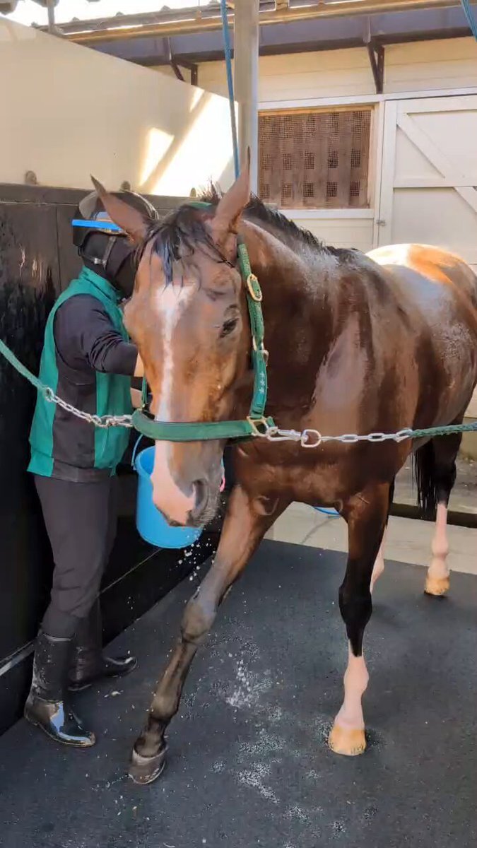 藤岡佑介騎手調教師合格！アルナシームとのコンビに期待の声