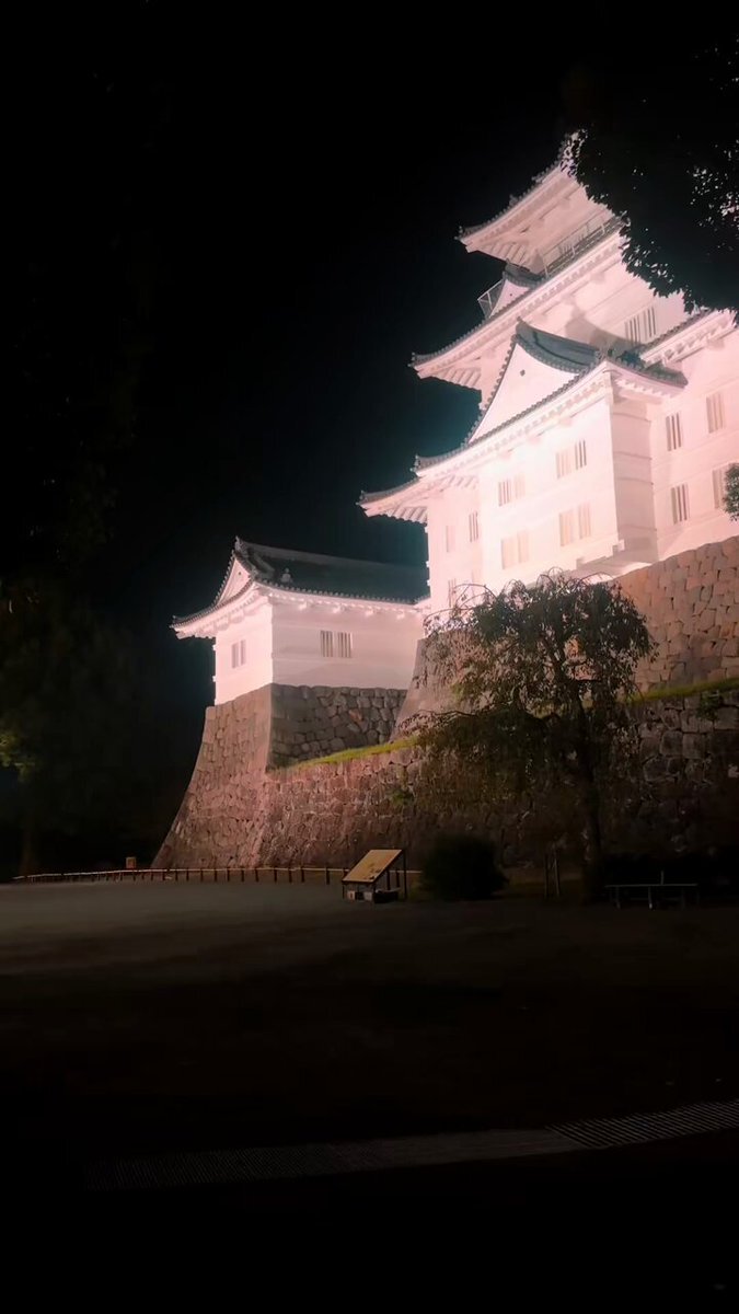 福島瑞穂議員、同姓婚判決に「怒りに震える」発言 spark SNS議論