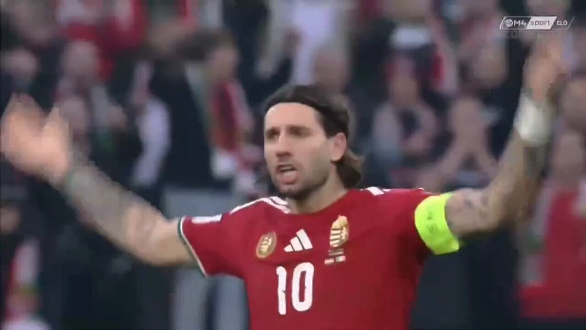 ソボスライ、W杯出場ならず！ハンガリーは逆転負け