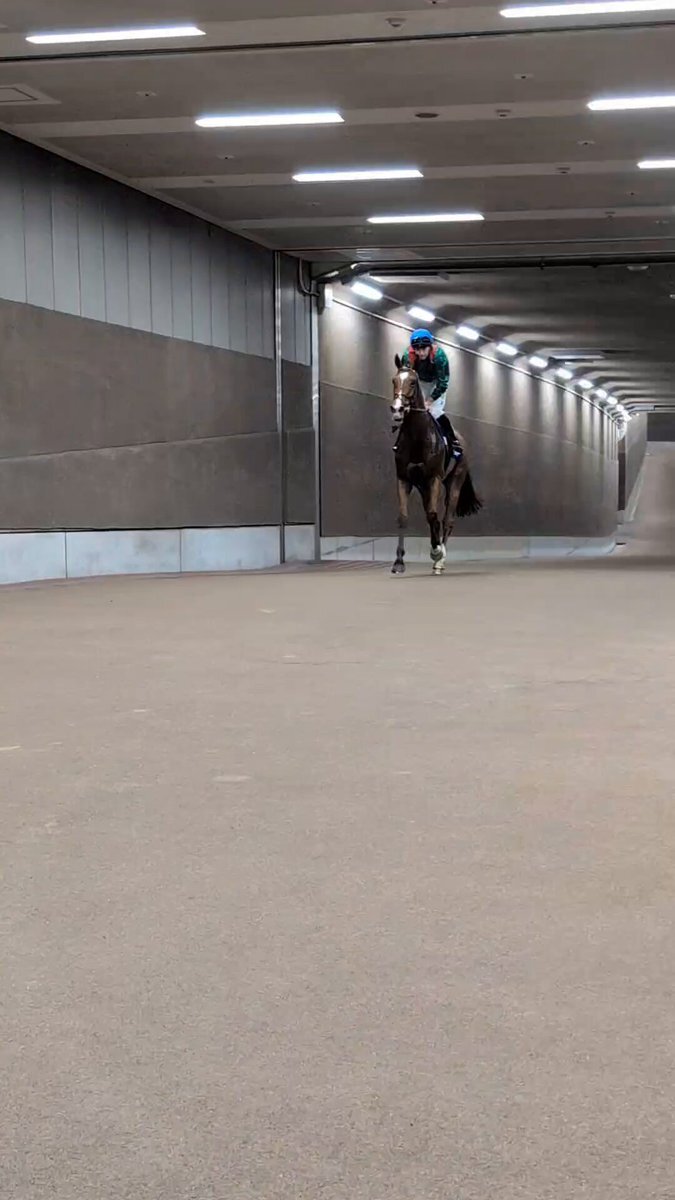 カランダガン、JRAレコードでジャパンカップ制覇！ 