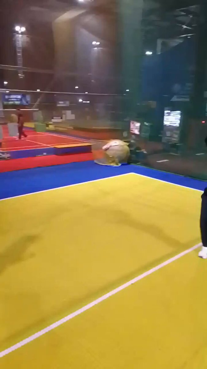 スポッチャで青春！乃木坂メンバーも訪れた話題のエンタメ施設