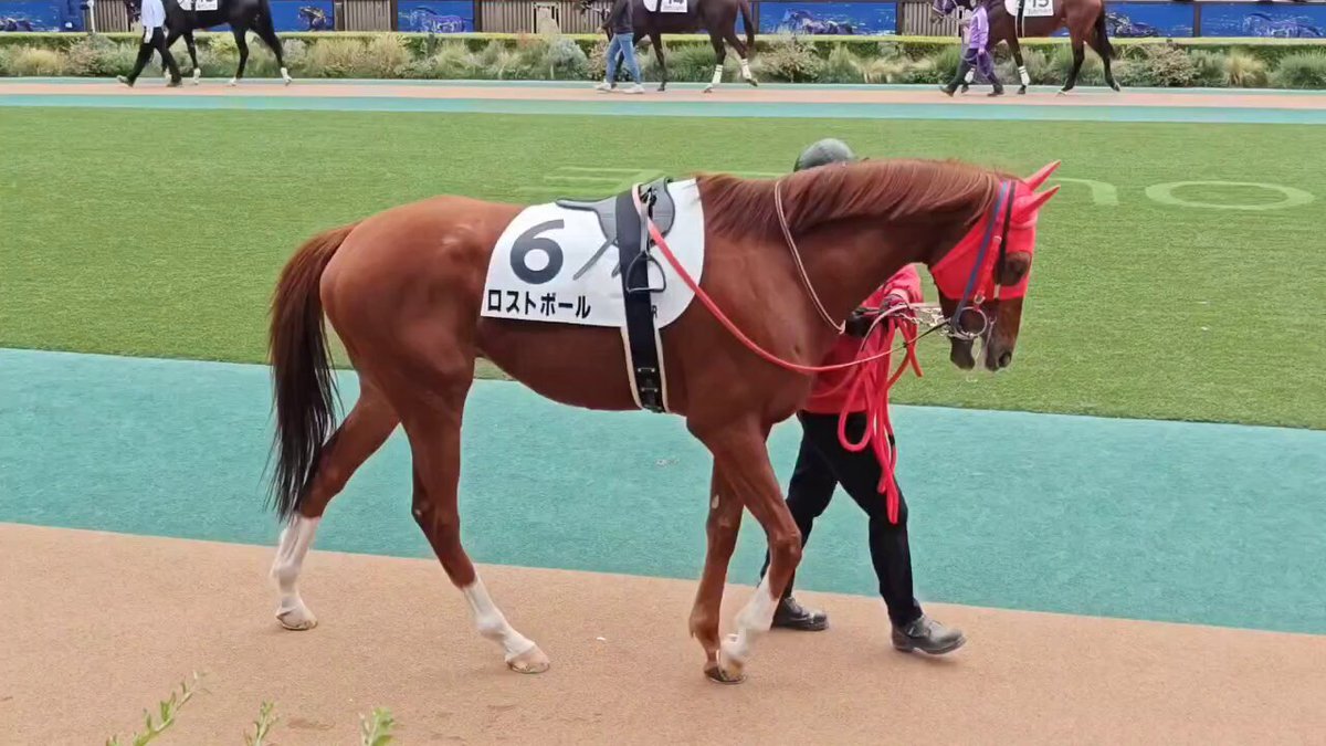 加藤和宏、鉄腕DASHでアメリカナマズ逃がす！ 視聴者からは賛否両論