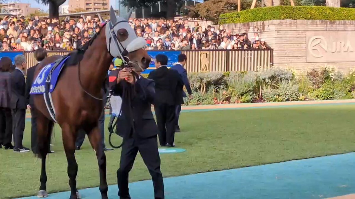 メイショウタバル、有馬記念で優勝なるか？ 予想が熱を帯びる