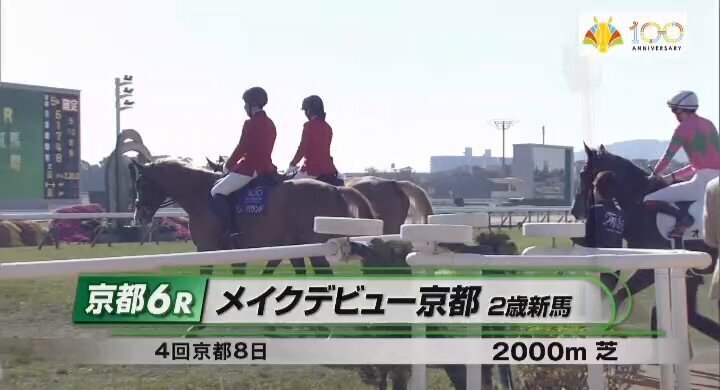 ジャパンカップ 本馬場入場、ファン興奮！馬の美しさに「涙止まらん」