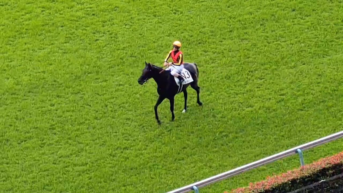 クロワデュノールと北村友一、ドラマ「ザ・ロイヤルファミリー」で感動の復活劇