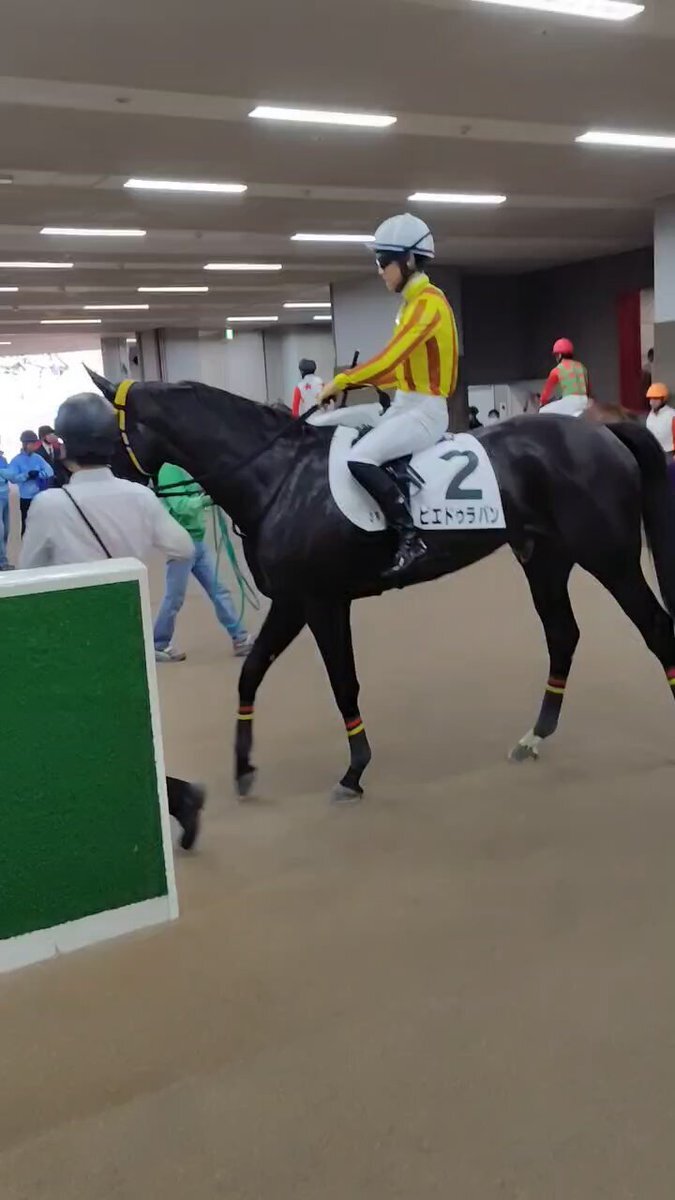 荻野極騎手、東京競馬で4勝！「荻野極祭」とファン興奮