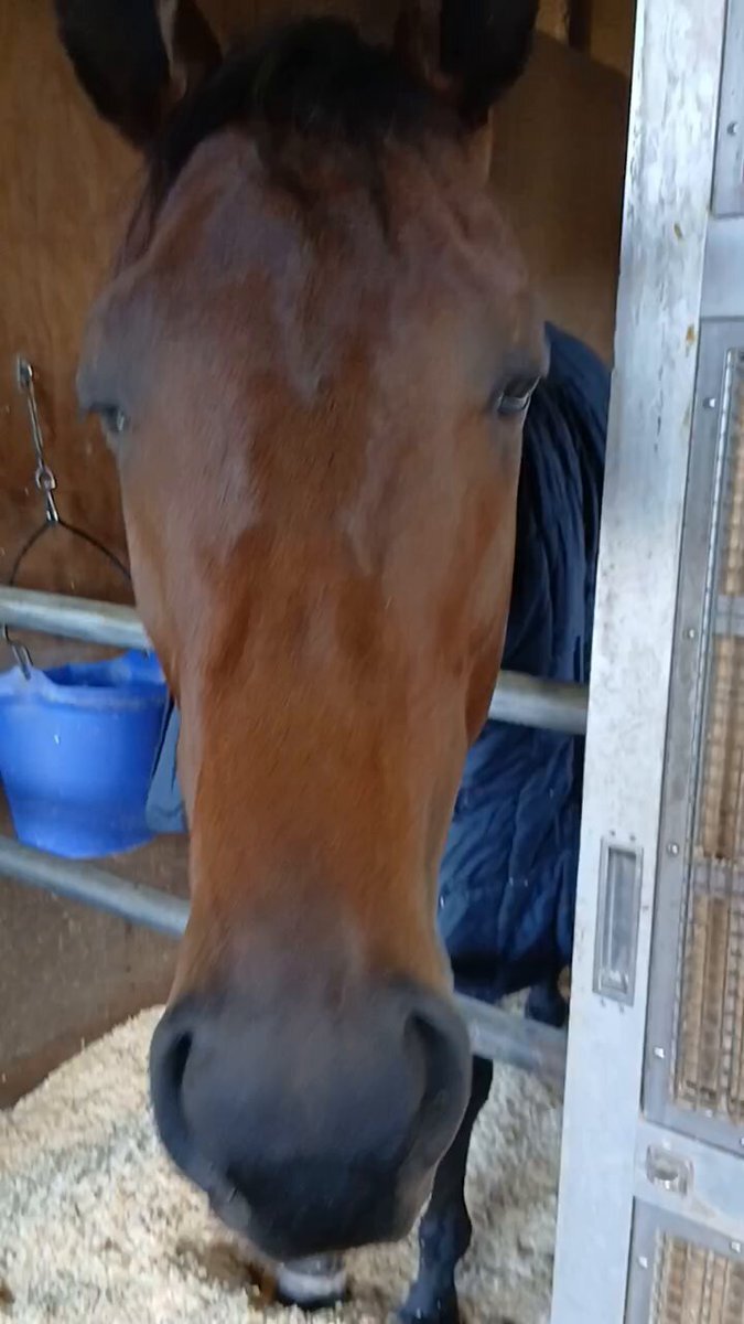 クイノールト、デビュー戦で圧勝！プーシャン騎手も笑顔