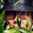 y0kotetsu