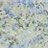 やまぼうし 群棲 / hashimoto bunnseiのアイコン画像