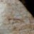 umimushi_1119
