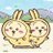 ぷちももsan🦔🐾 🦔🦔🐾🐾のアイコン画像