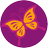 butterflyのアイコン画像