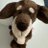 短足犬のアイコン画像