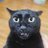 黒猫山のアイコン画像